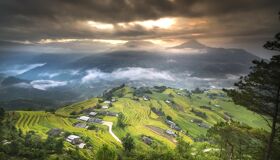 Begin your visa-prepared day with Vietnam’s tranquil ambiance